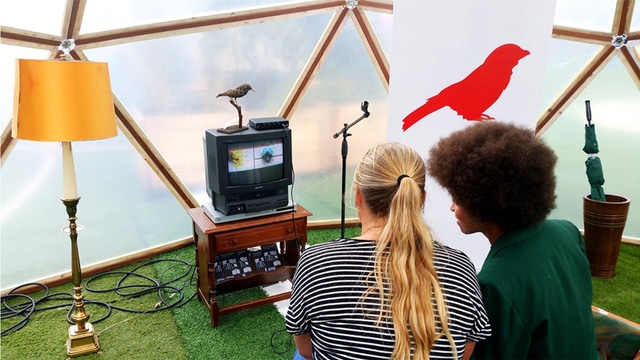 Multispecies Karaoke