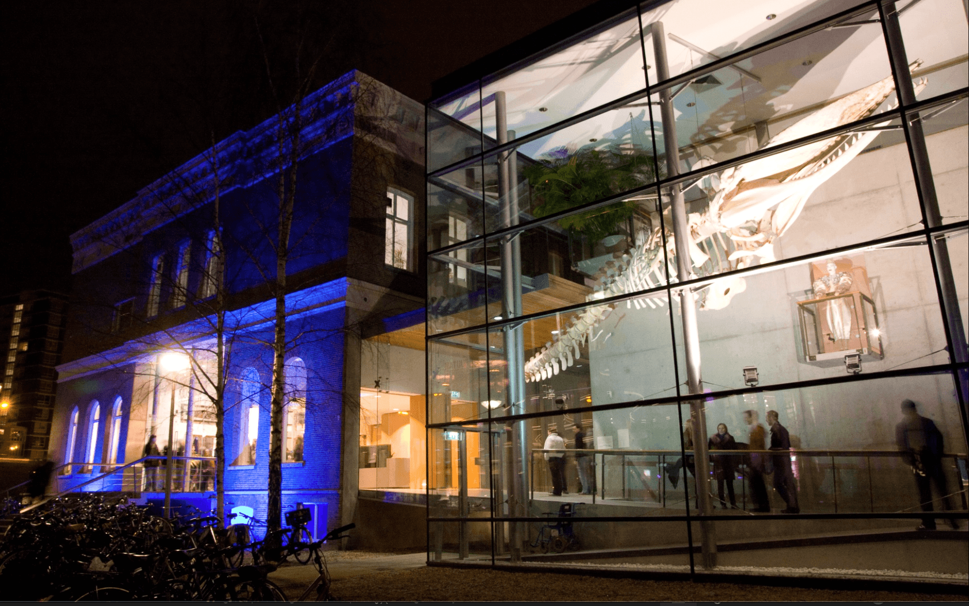 Urban Survivors - piepende waarheden en een portie lef