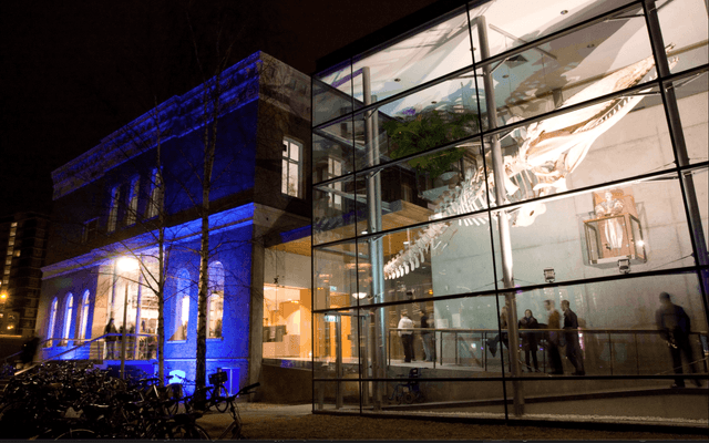 Urban Survivors - piepende waarheden en een portie lef