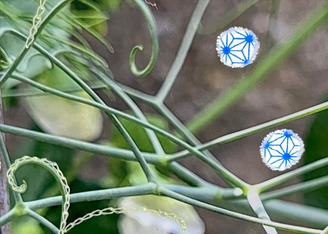 De Prinses op de Erwt | Regula Maria Müller