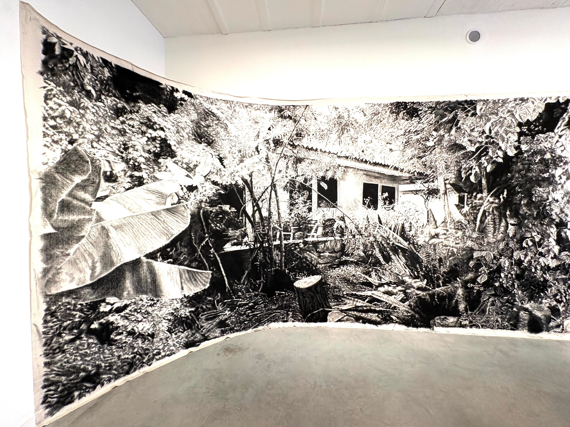 Echo of home | Lise Lou Sore