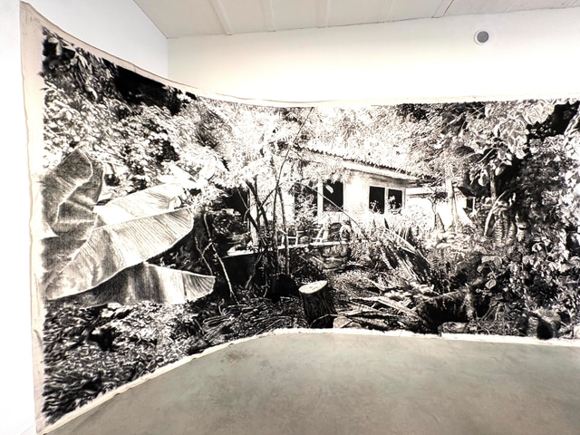 Echo of home | Lise Lou Sore